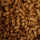1st Peanut Allergy Drug For Children Approved by FDA