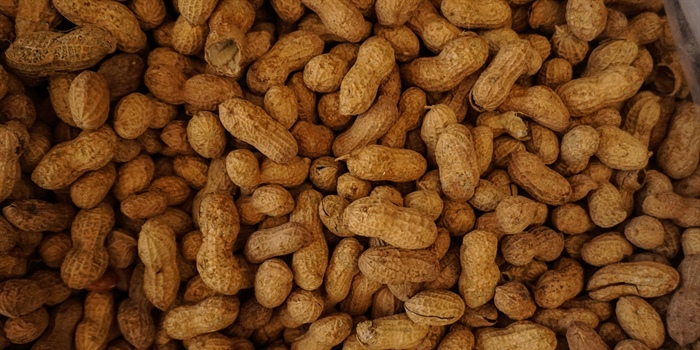 1st Peanut Allergy Drug For Children Approved by FDA