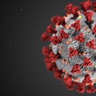 Coronavirus Claims 6 Lives In Washington State